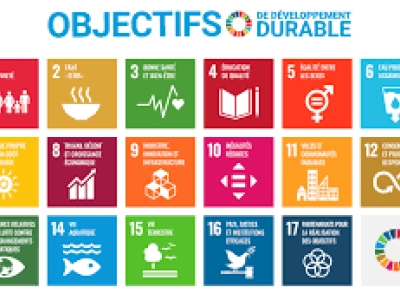 les 17 ODD
